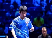 开云平台-法国乒乓球队险胜奥地利乒乓球队，王皓绝境逆转的简单介绍