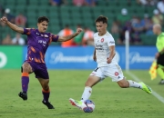 开云体育app-关于西悉尼流浪者开启连胜之路，雄心勃发的信息