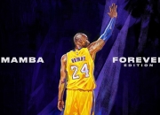 开云体育登录-2026世界杯之夜，莫兰特高光表现，一场改写篮球历史的传奇