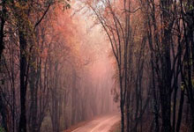 开云平台-丹麦羽毛球队碾压马来西亚羽毛球队，陶菲克关键制胜的简单介绍