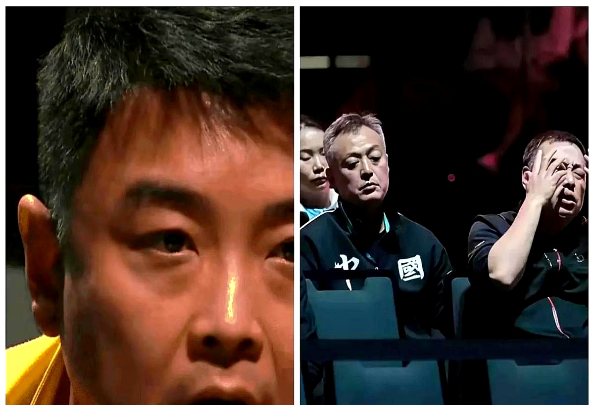 比利时乒乓球队横扫波兰乒乓球队，王皓绝境逆转的简单介绍