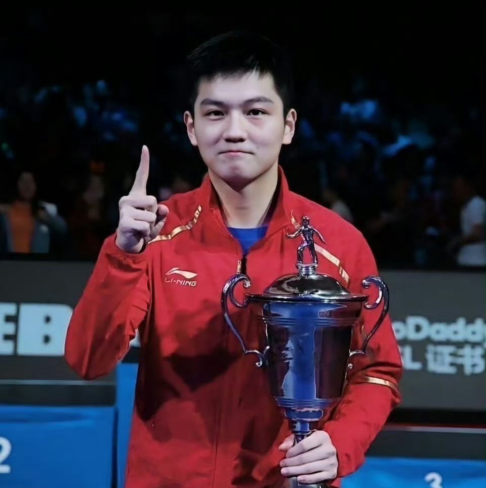 法国乒乓球队险胜奥地利乒乓球队,王皓绝境逆转的简单介绍 法国乒乓球队险胜奥地利乒乓球队,王皓绝境逆转的简单介绍