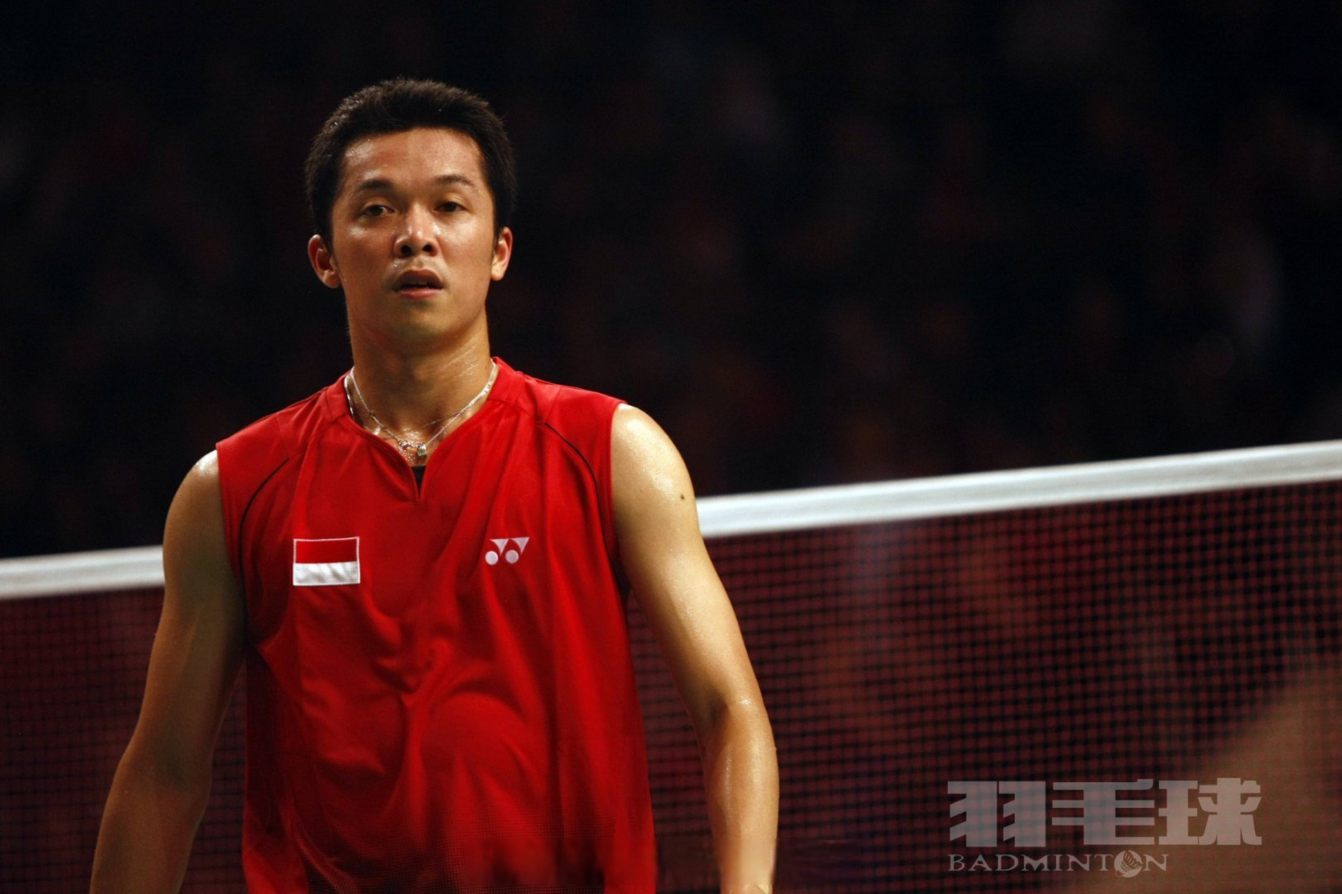 丹麦羽毛球队碾压马来西亚羽毛球队,陶菲克关键制胜的简单介绍 丹麦羽毛球队碾压马来西亚羽毛球队,陶菲克关键制胜的简单介绍