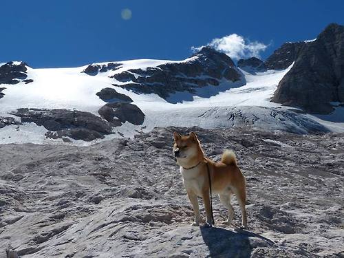 秘鲁粉碎摩纳哥，门迪如何成为改变战局的关键先生